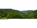 Rice Terraces, Banaue, Filipijnen