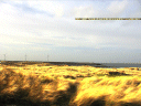 En ik zal luisteren naar de wind in het gras